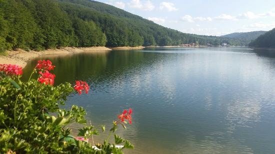 Lacul Gozna